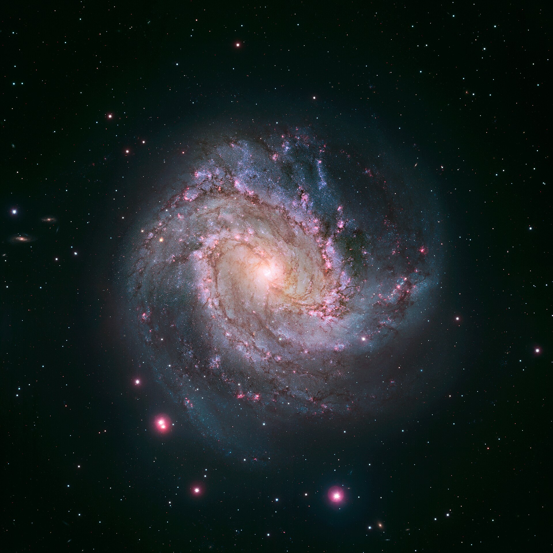 南风车星系 M83：粉紫色旋臂围绕亮黄核心铺开，缀满红色恒星形成区，悬在黑色星野中
