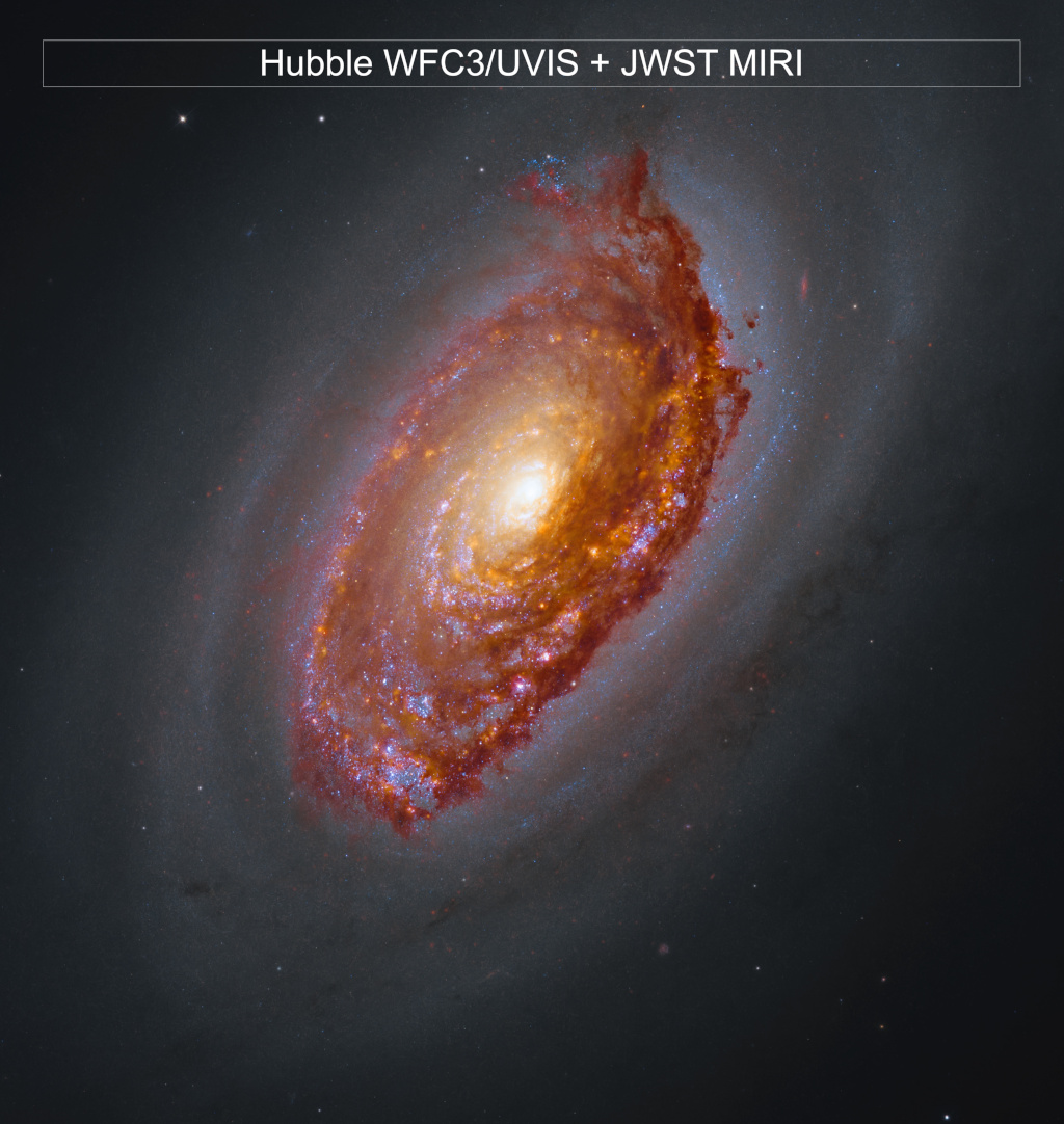 M64 黑眼星系：明亮核心外围环绕一圈暗尘带，韦布中红外图像里尘埃呈红色织带，其间嵌着新生恒星的粉色星区