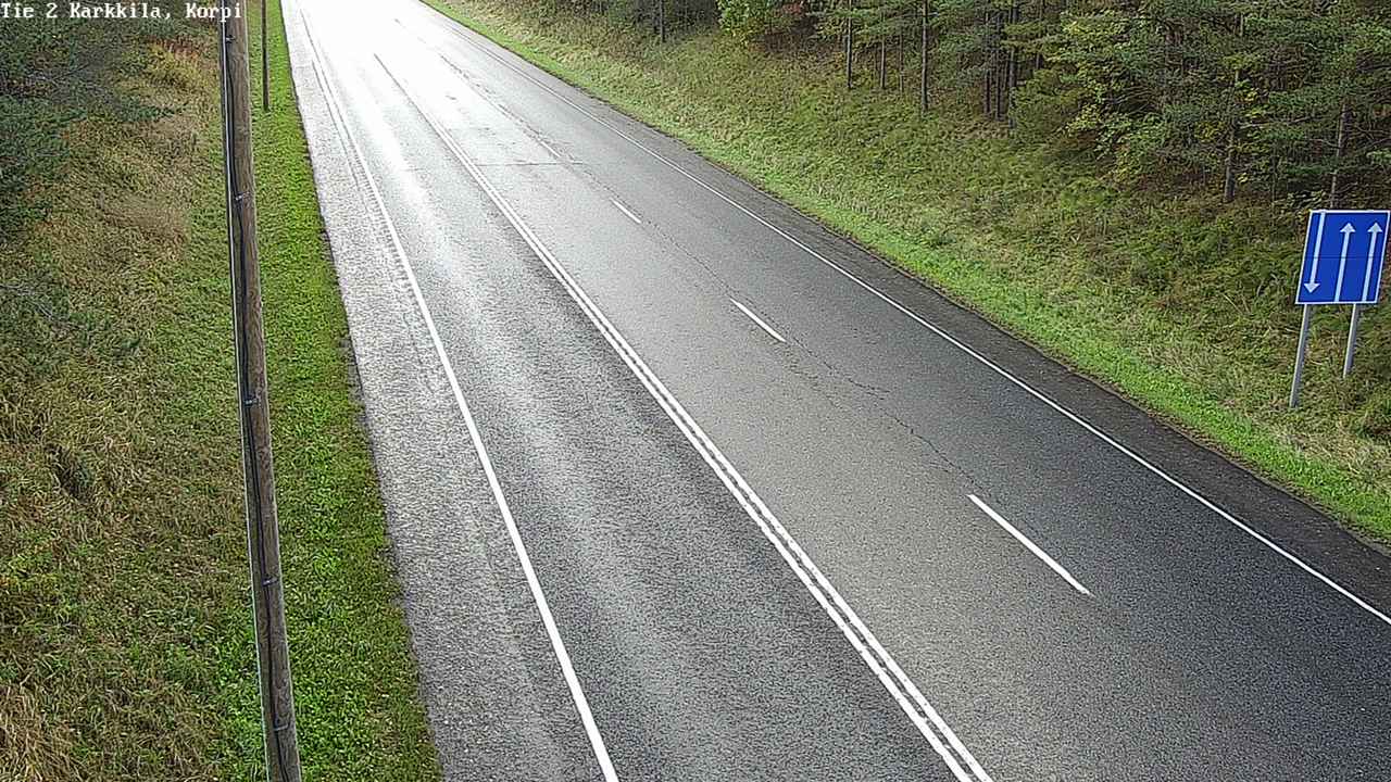 芬兰卡基拉 2 号公路 Korpi 段：傍晚空无一人的公路，逆光把秋草染成金黄，松林在路侧成排